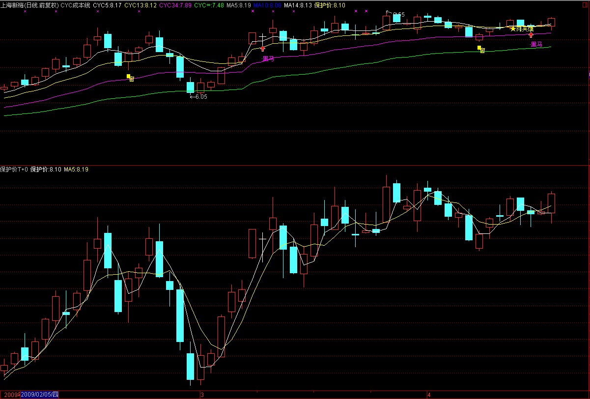 T+0保护价源码(通用源码)