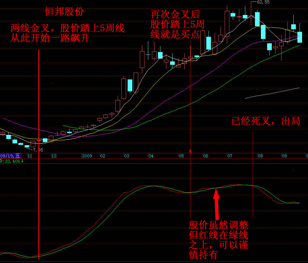 “专捕主升浪”的指标