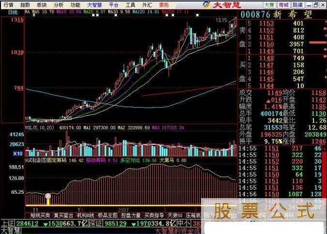 发现黑马（成功率95%）(源码)(附图)