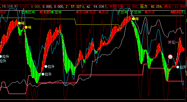 富贵花开----精品副图