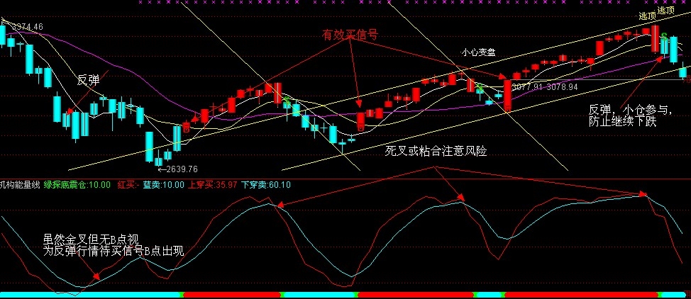 愿赌服输操盘系统