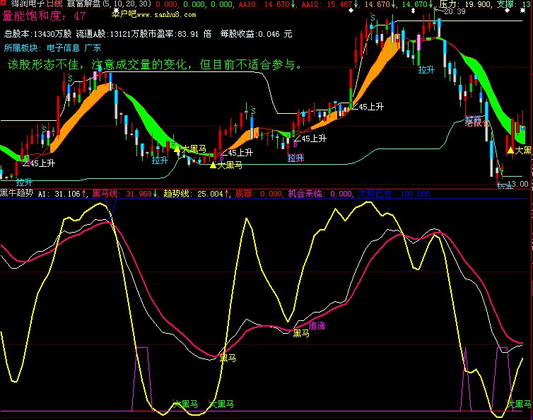 大小黑马 全拿下 （源码）