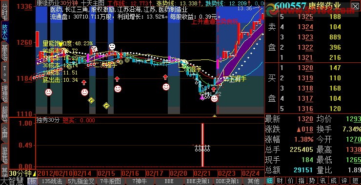 30分钟短线指标 加密指标+副图+选股预警