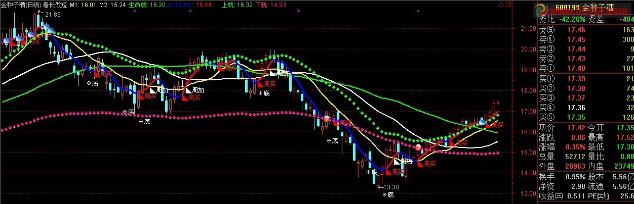鸿赢决策终端看长做短源码 主图 源码