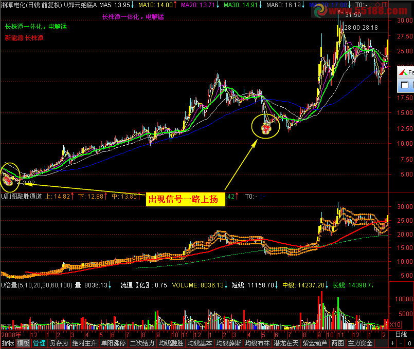 通达信郑云绝底主图源码