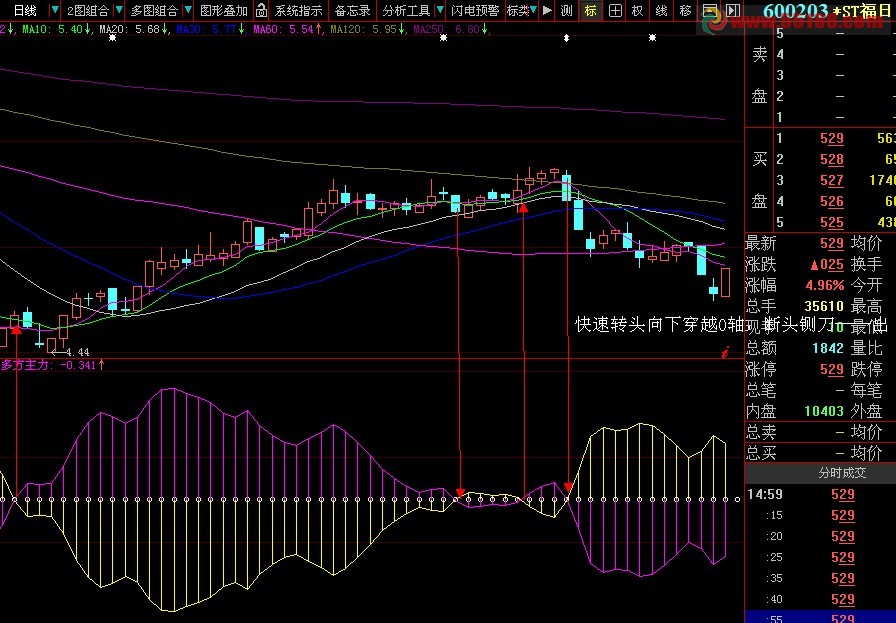 大智慧主力进出副图源码、说明