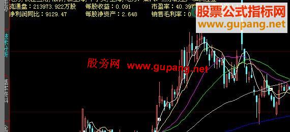 大智慧所属板块、流通盘 市盈率 预付款等在K线图上显示 一目了然