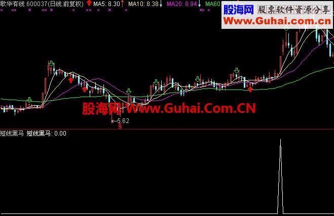 短线黑马让你抓住每一波低点