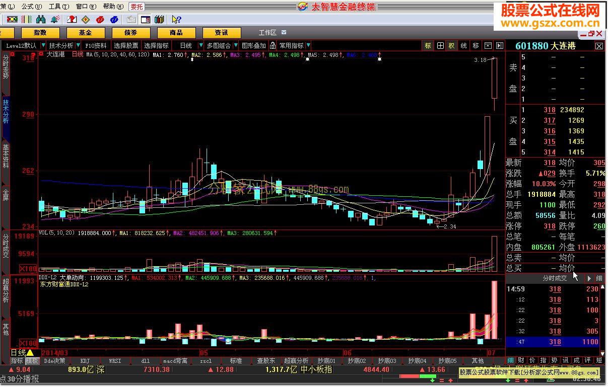 大智慧DDX-L2公式源码
