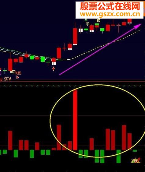 大智慧买卖净量源码附图无未来