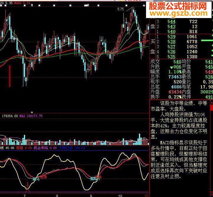 大黑马副图源码