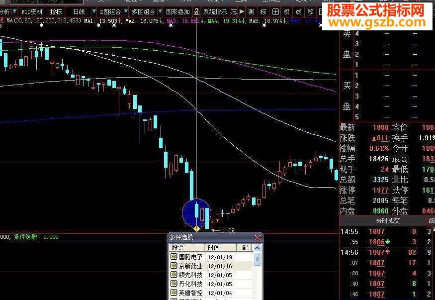 自用选股公式 20天10%成功率96%