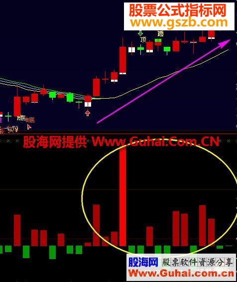 大智慧买卖净量原码附图
