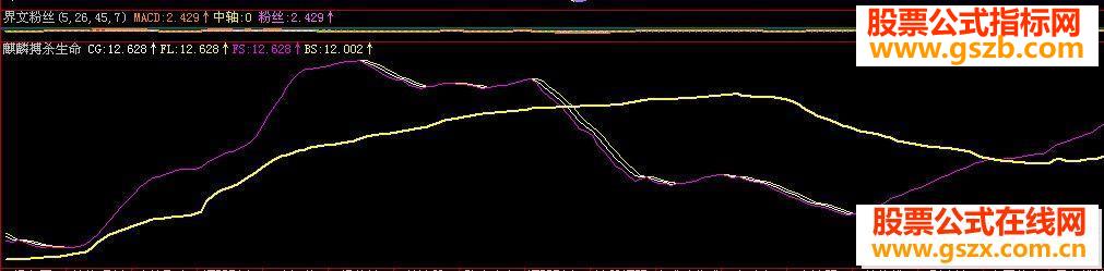 飞狐麒麟搏杀生命无未来源码
