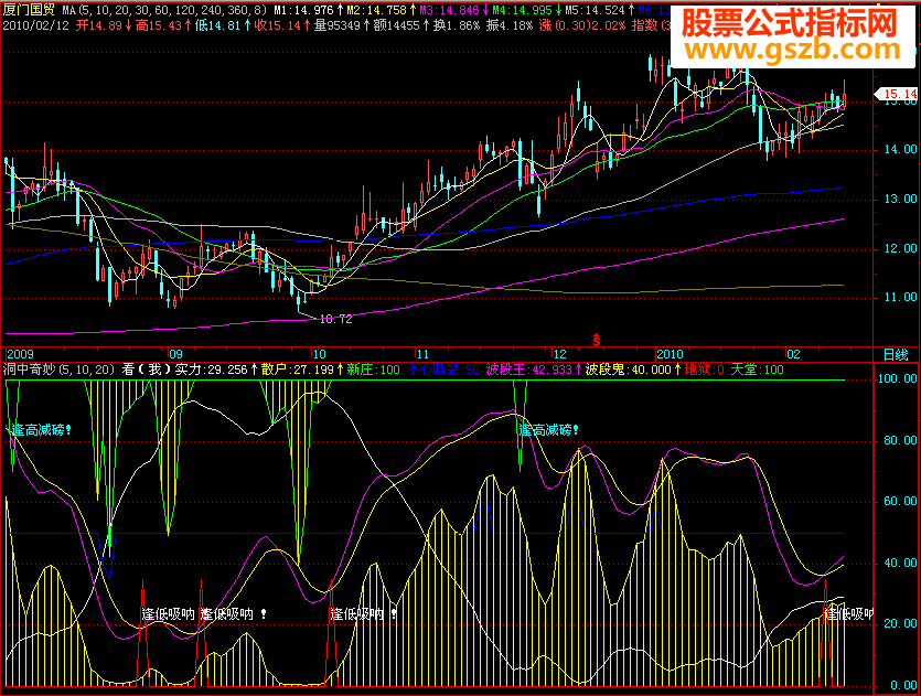 飞狐洞中奇妙风景指标公式