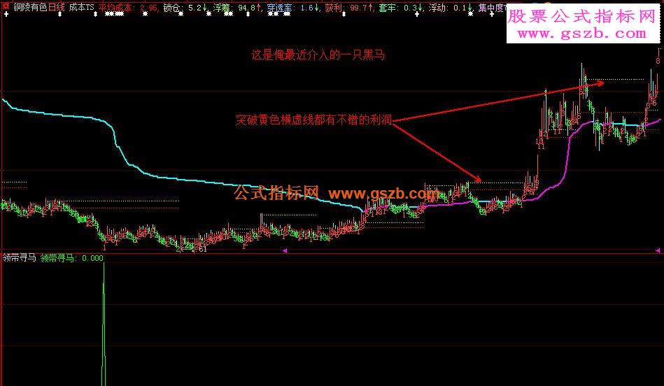 大智慧领带寻马配套主图《成本TS》(指标源码主图贴图）