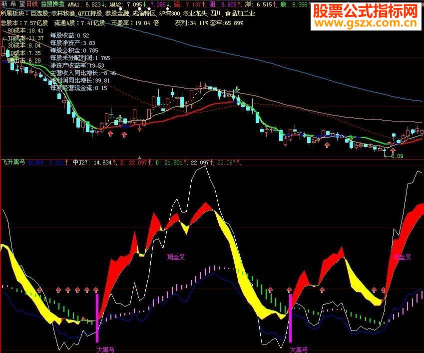 大智慧飞升黑马源码