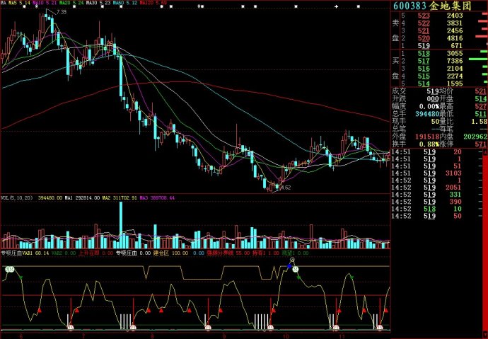 大智慧专吸庄血副图源码
