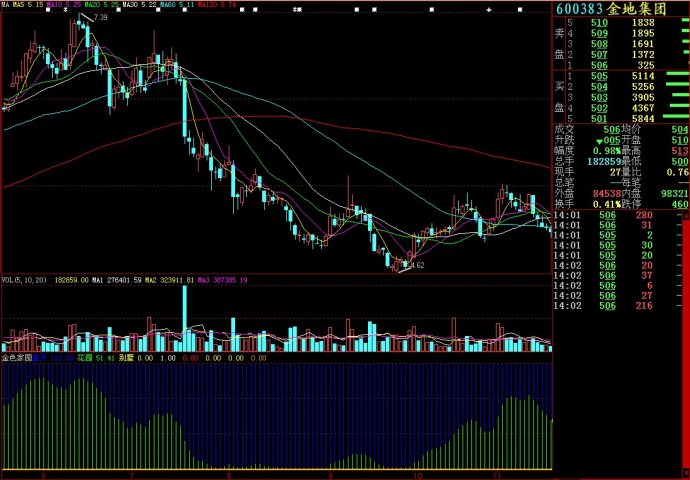 大智慧金色家园副图源码