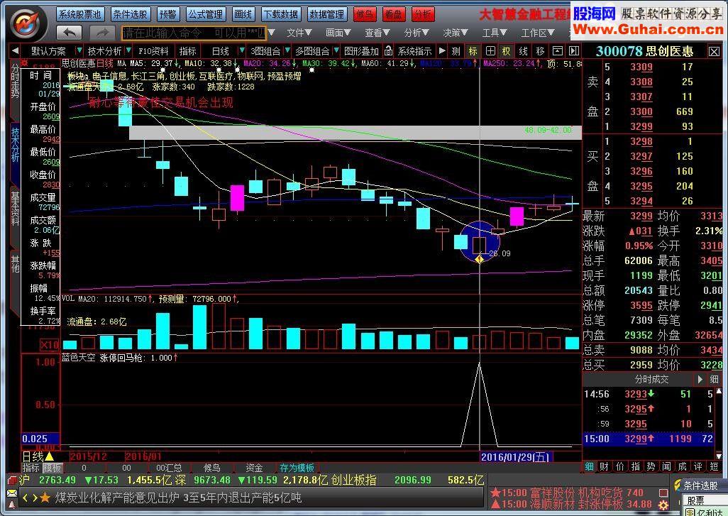 大智慧涨停回马枪系列四 蓝色天空（候鸟自用选股指标，通达信通用）