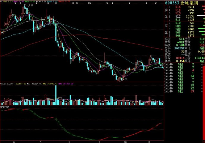 大智慧黄帽行动副图源码