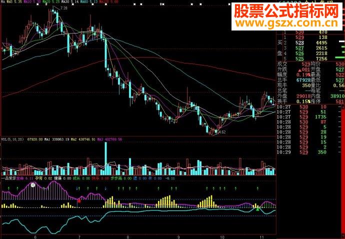 大智慧一品爱家副图源码
