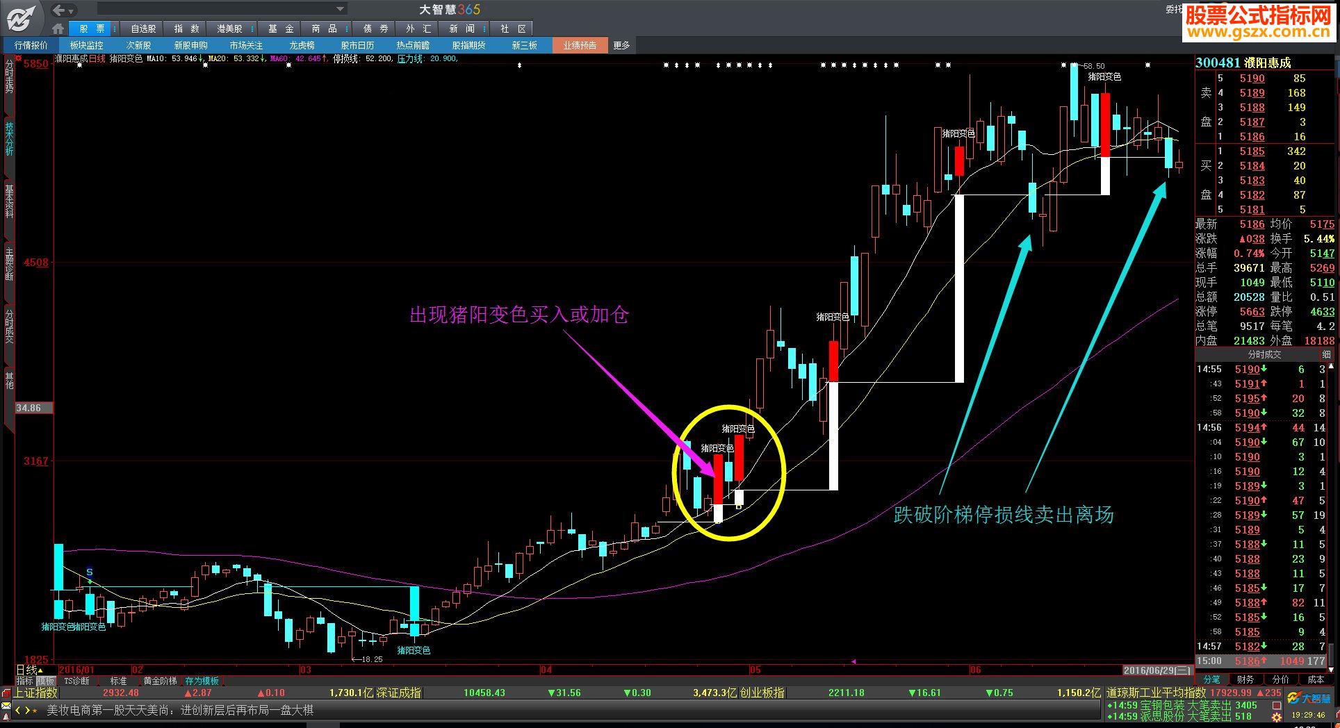 大智慧2.《指标十年》猪阳变色(主图贴图指标详解)