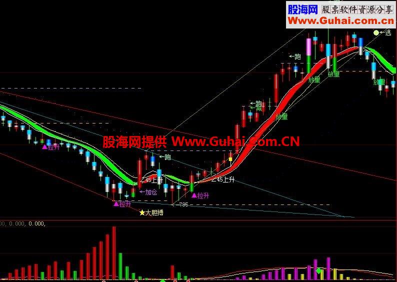 动向指标 掌握主力动向