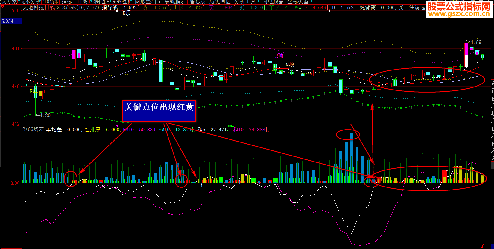 分享二个精华指标好不好自己看