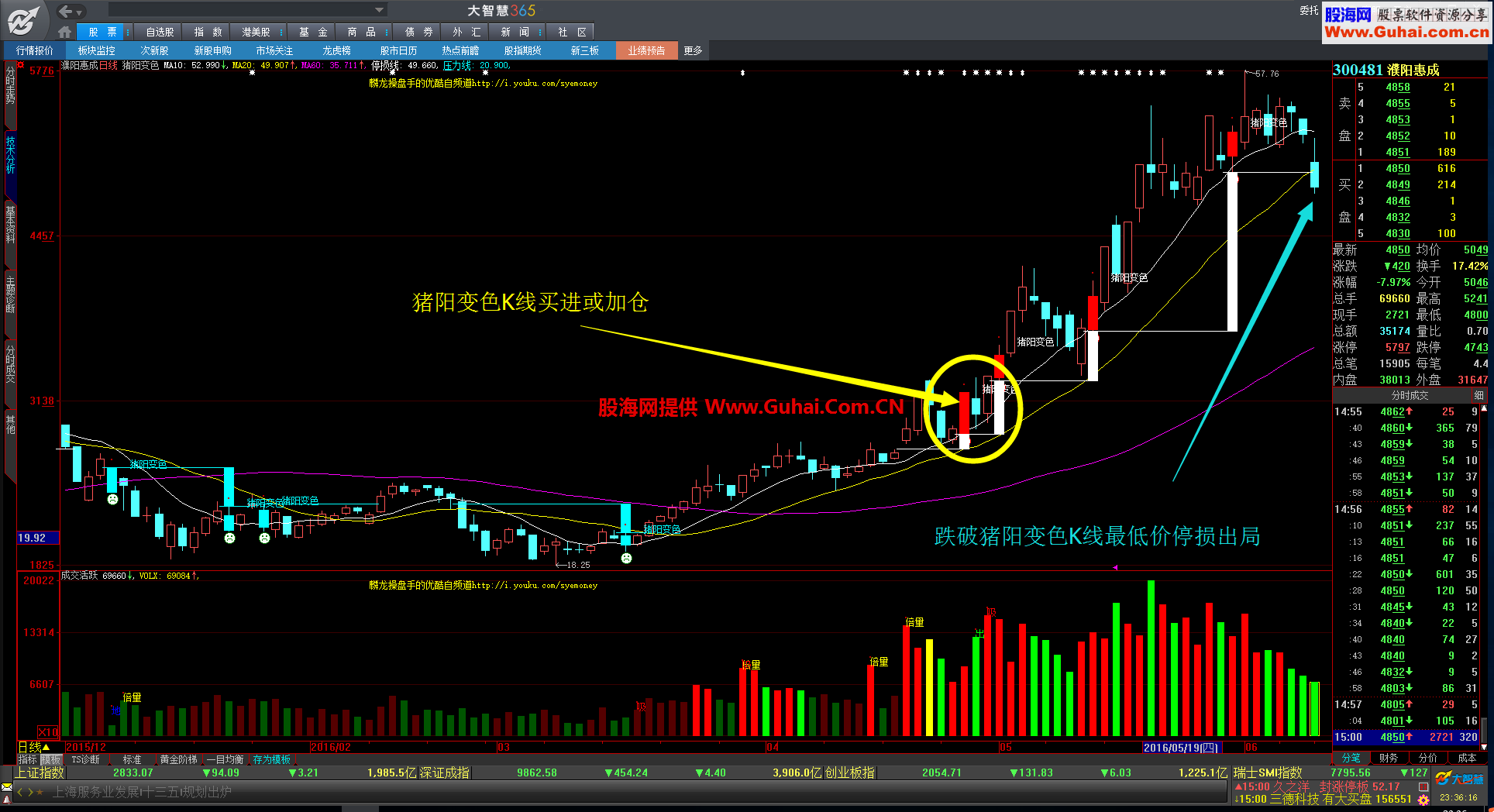 猪阳变色主图指标 买点的原理和使用方法