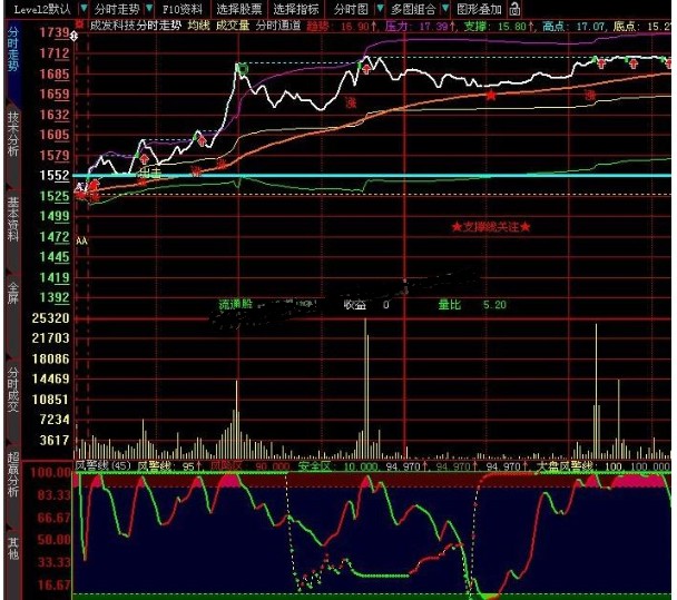 大智慧分时图T+0风险警示线副图指标