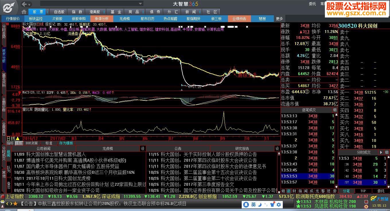 大智慧阴阳量统计指标（源码副图贴图）