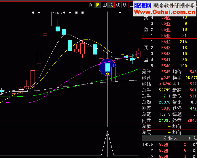 一伤拳阴线买入股票池 3天5%成功率88%