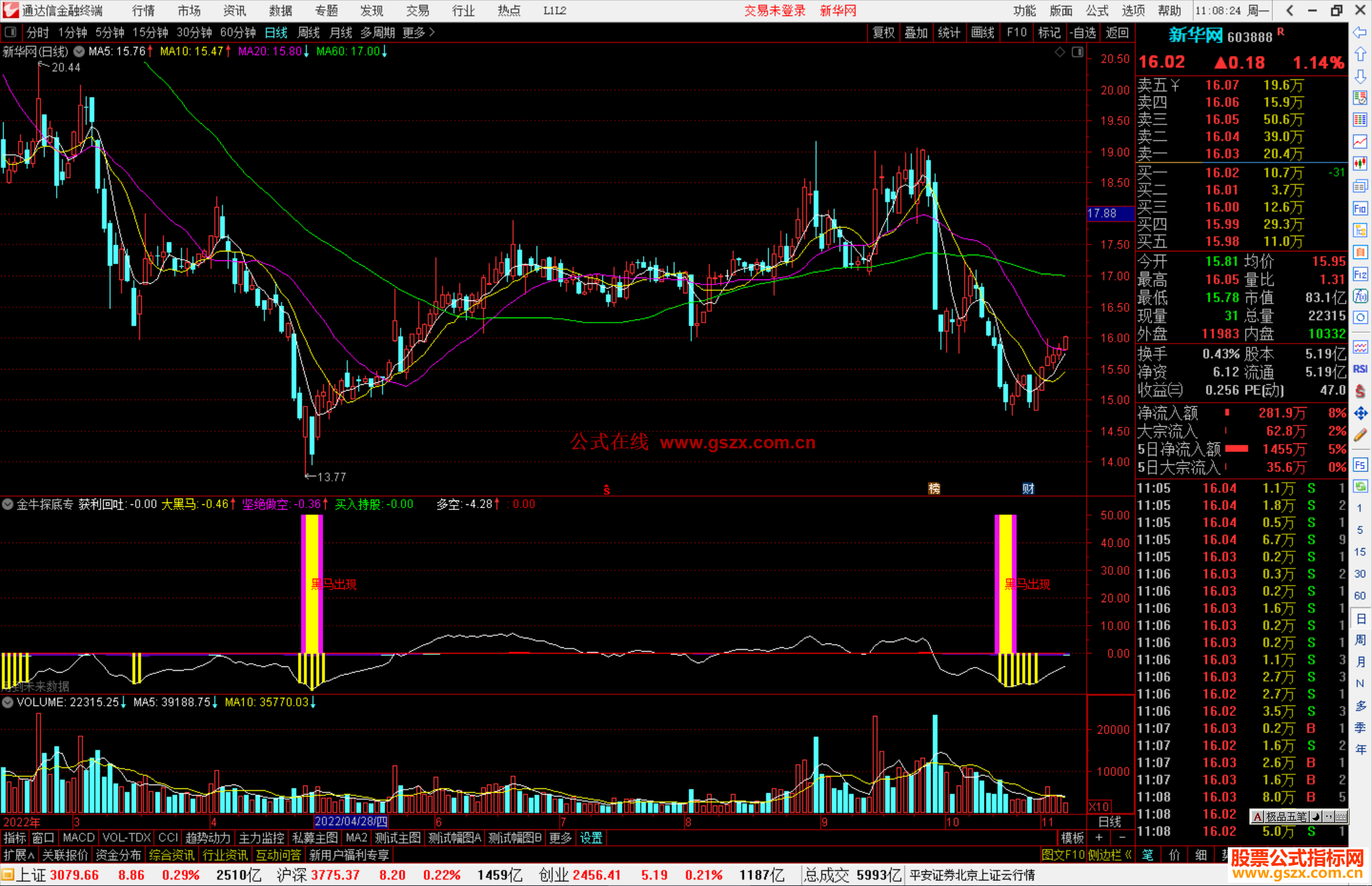 通达信金牛探底专注牛股指标公式源码
