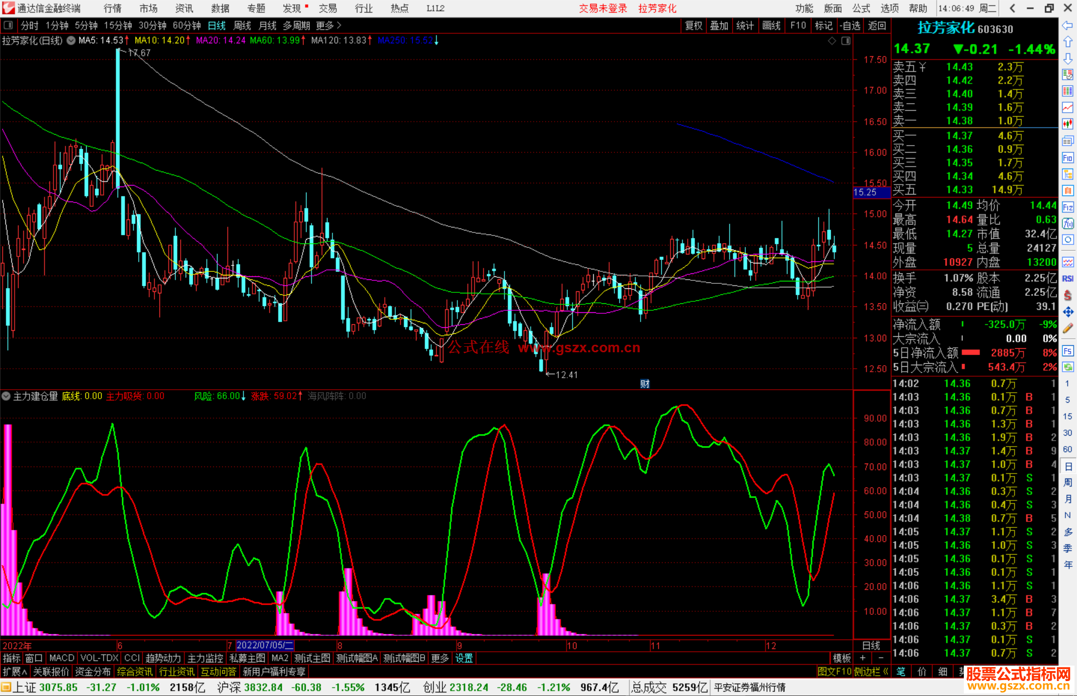 通达信主力建仓指标,监控主力吃货