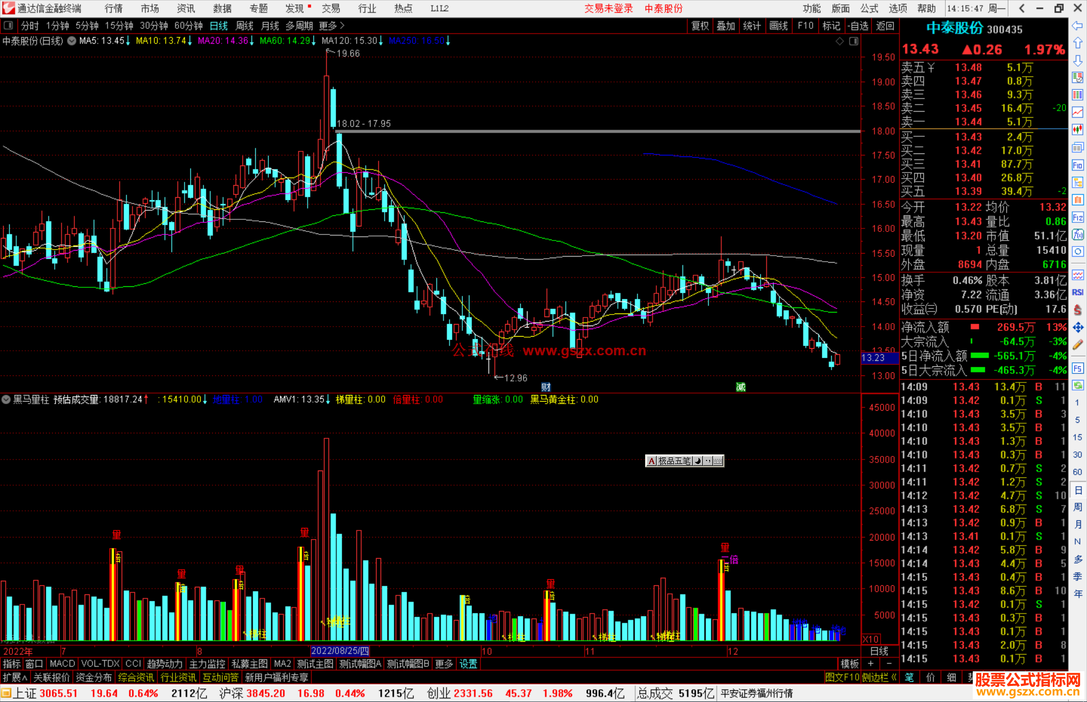 通达信黑马量柱指标公式源码副图