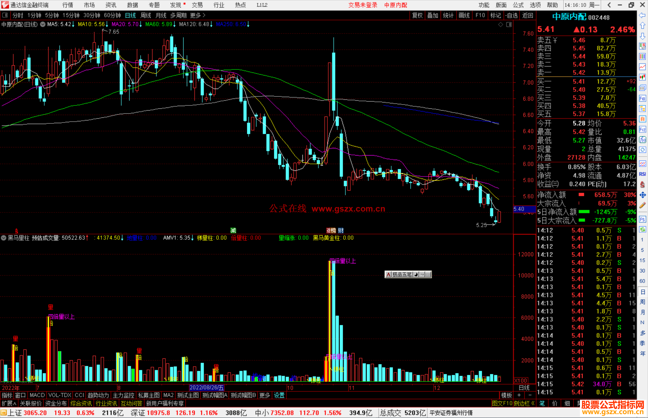 通达信黑马量柱指标公式源码副图
