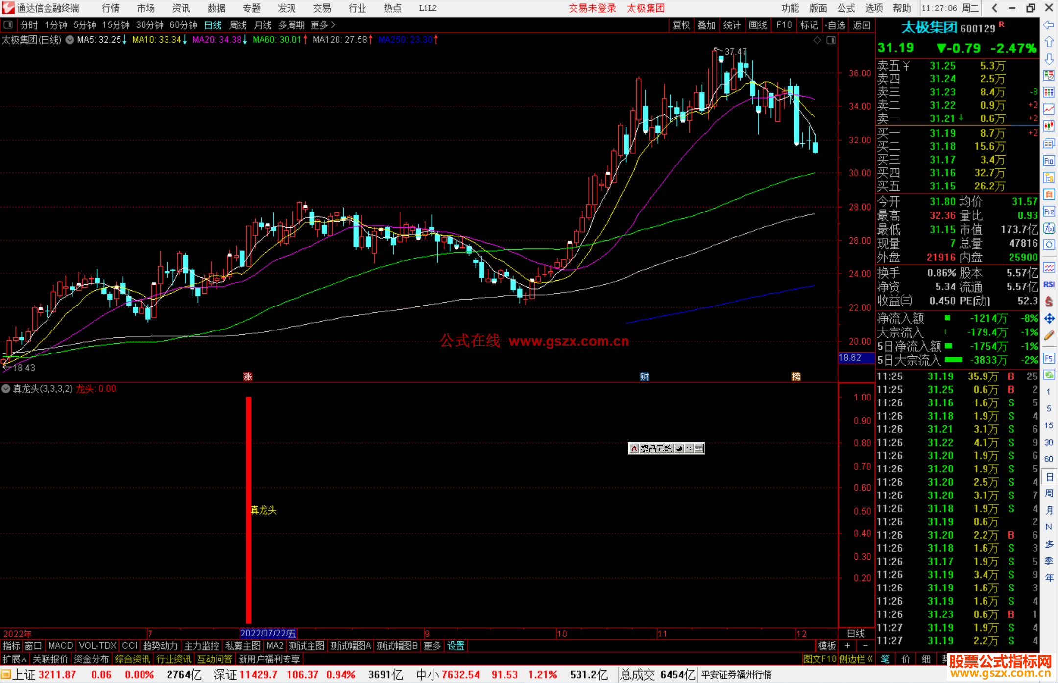 通达信真龙头源码副图