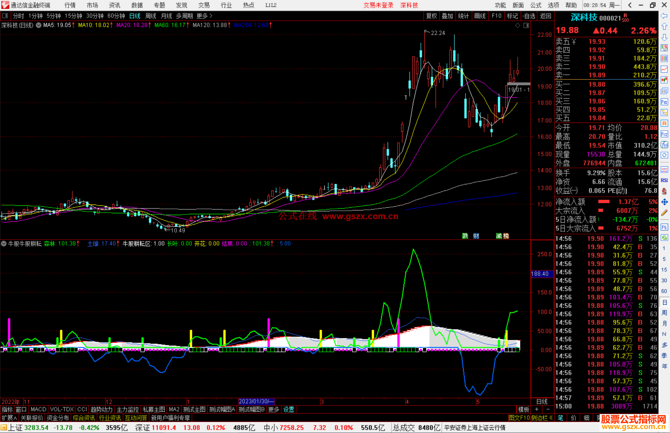 通达信牛股牛股耕耘区副图指标公式源码