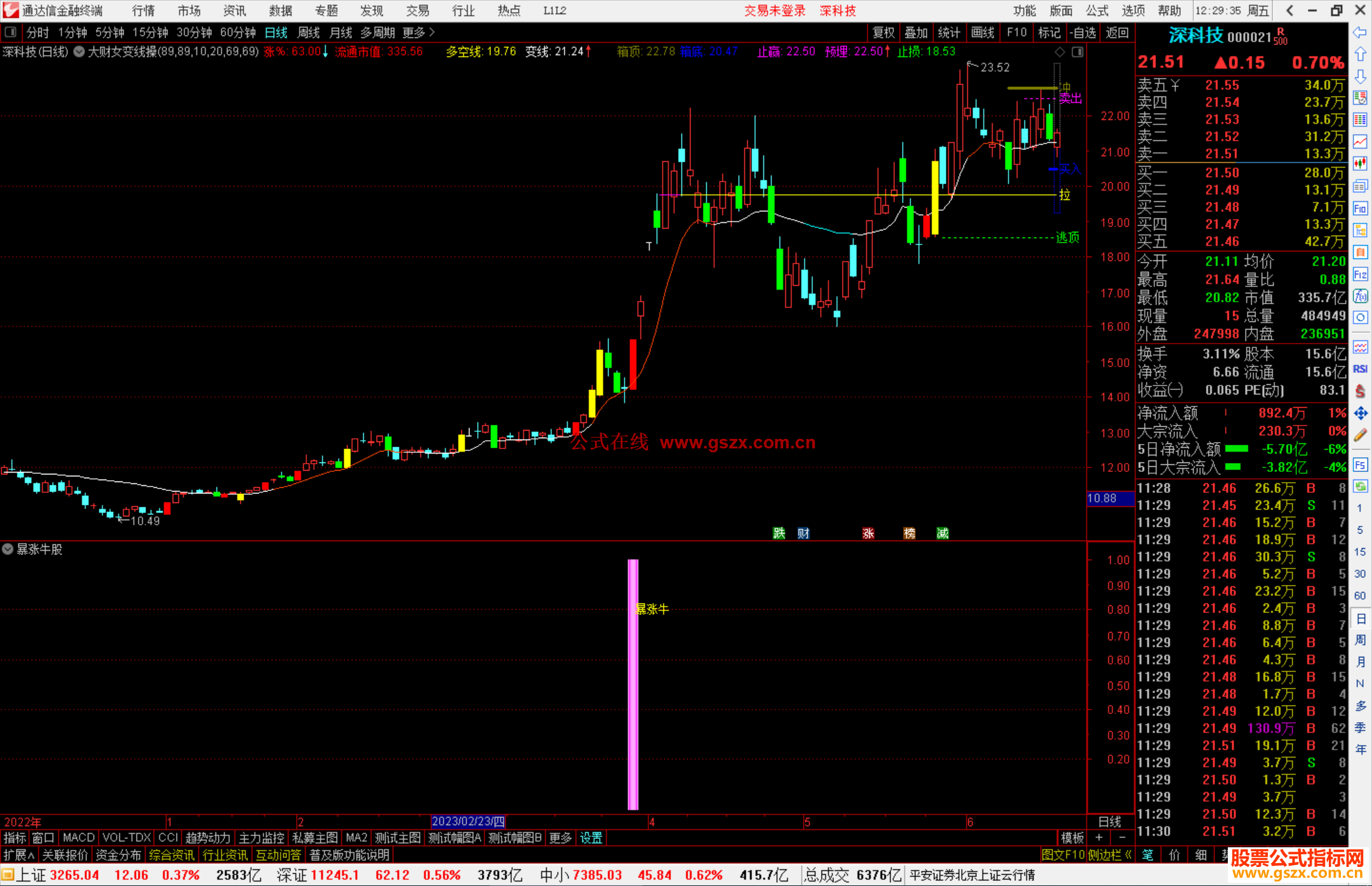 通达信暴涨牛股指标公式源码副图