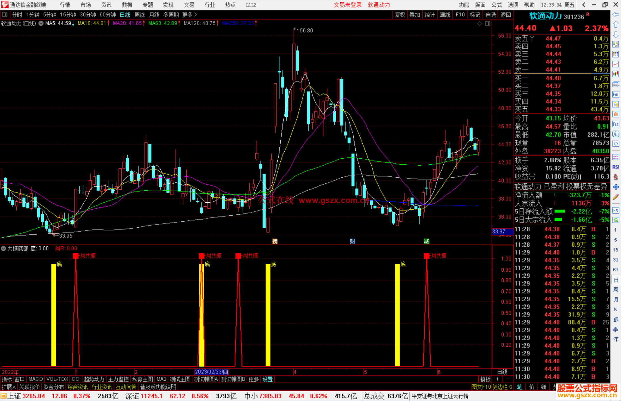 通达信共振底部指标公式源码副图