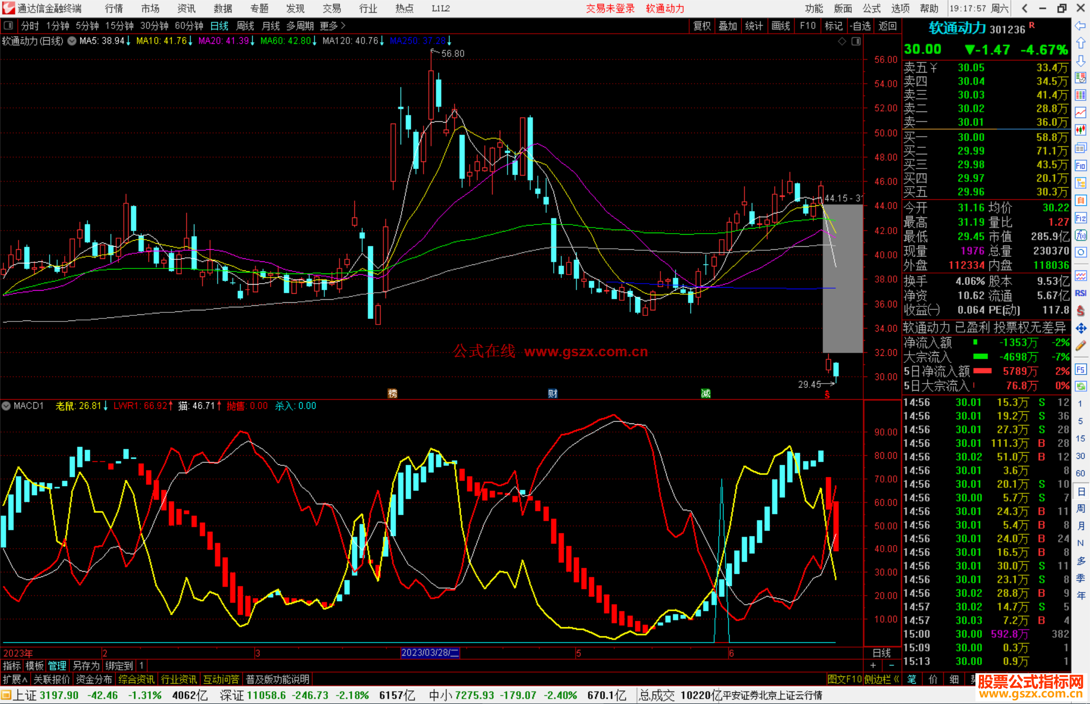 通达信韭菜专用MACD指标公式副图