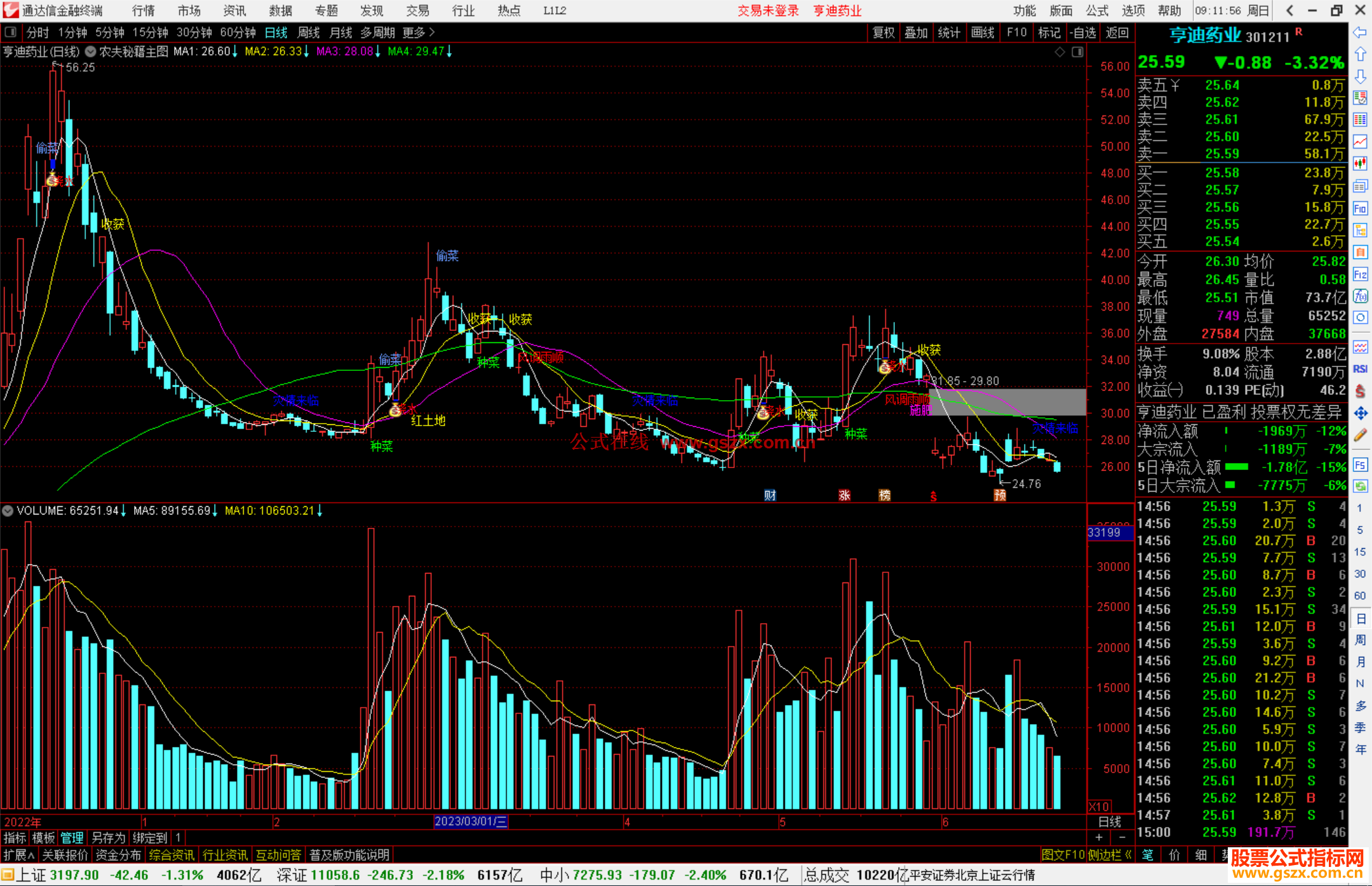 通达信农夫秘籍主图指标公式源码主图