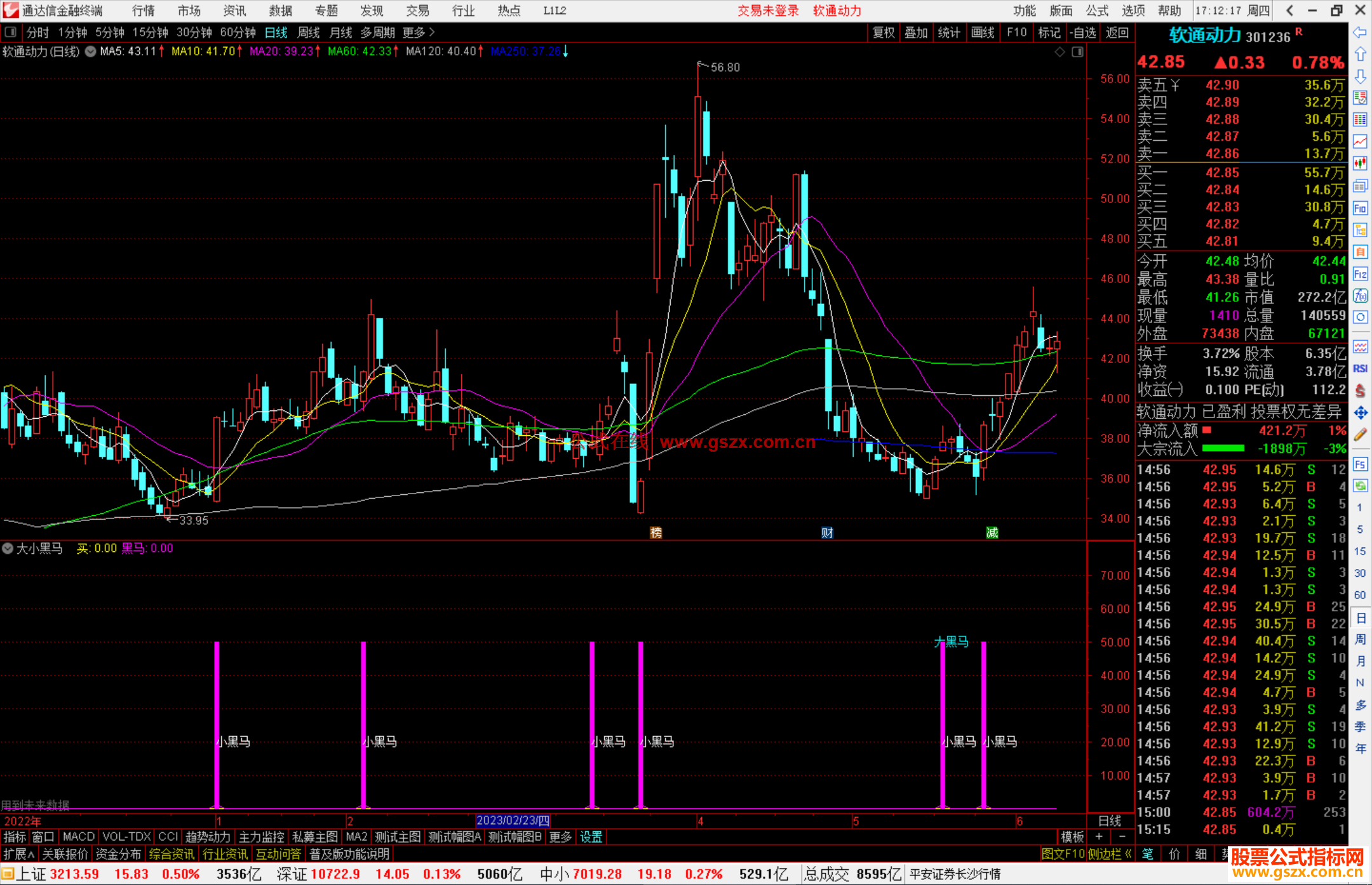 通达信 大小黑马指标公式源码副图