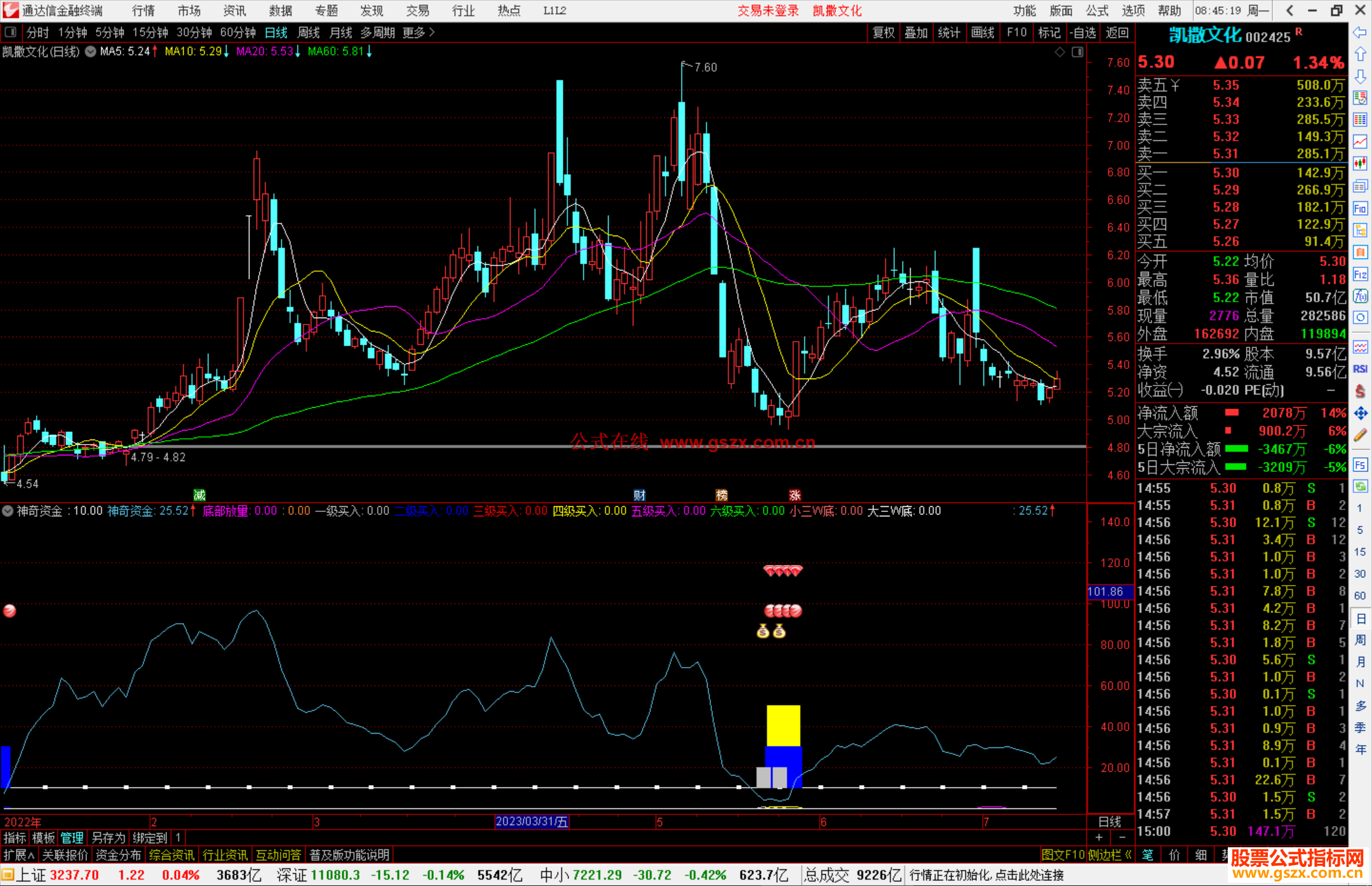 通达信神奇资金指标公式源码副图
