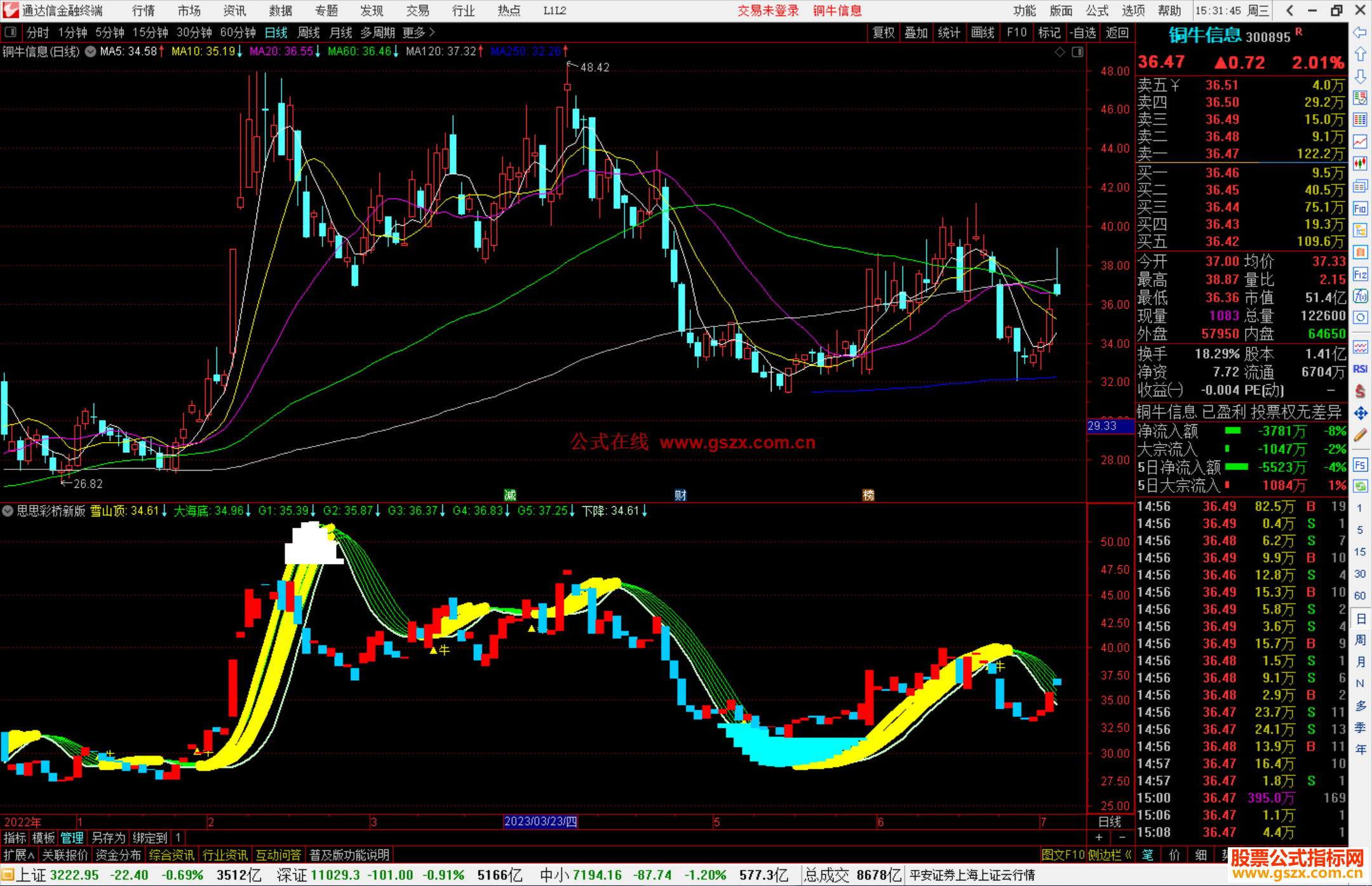 通达信思思彩桥新版副图+选股指标副图源码