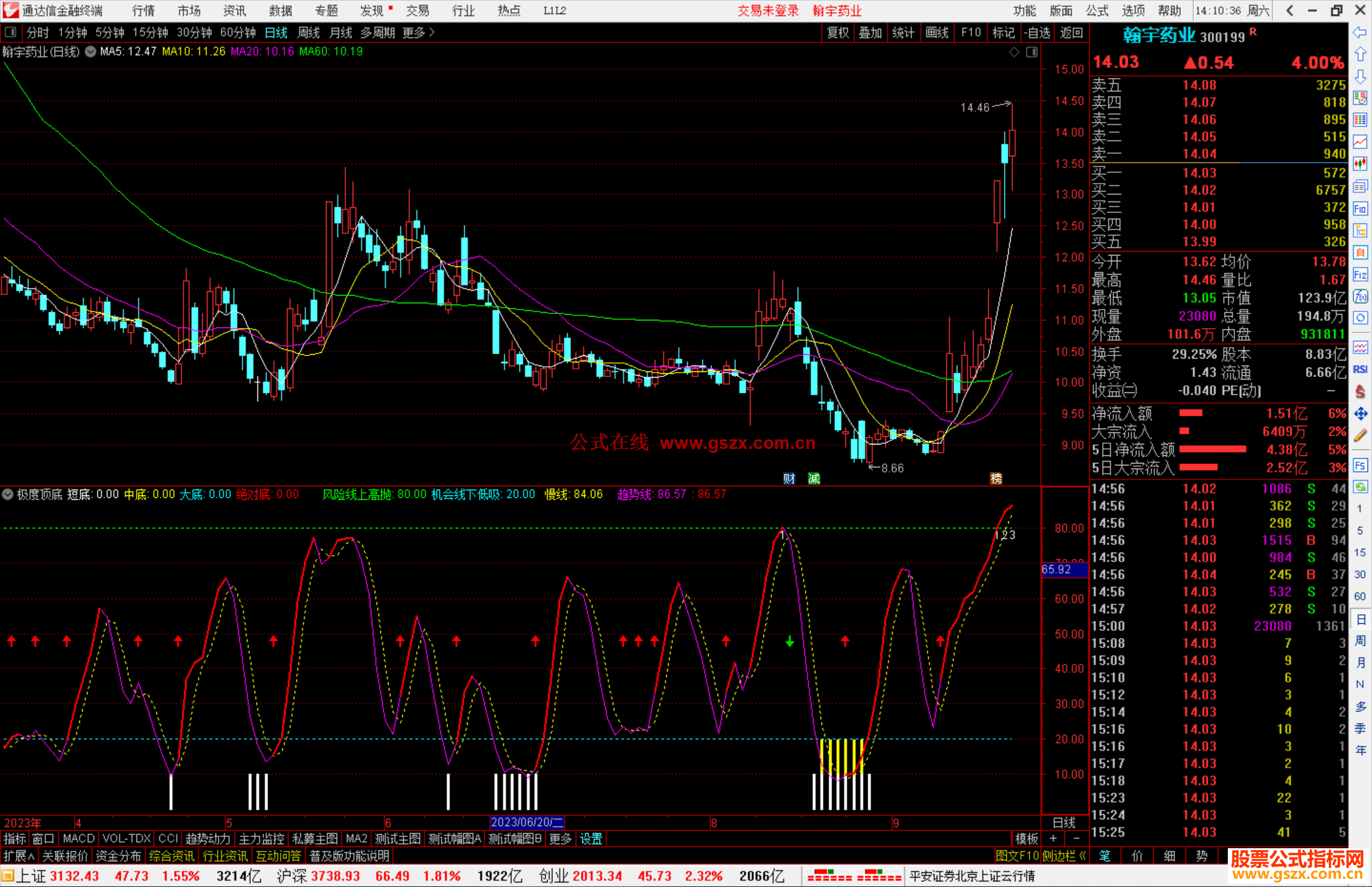极度顶底（通达信指标 副图 源码 测试图）