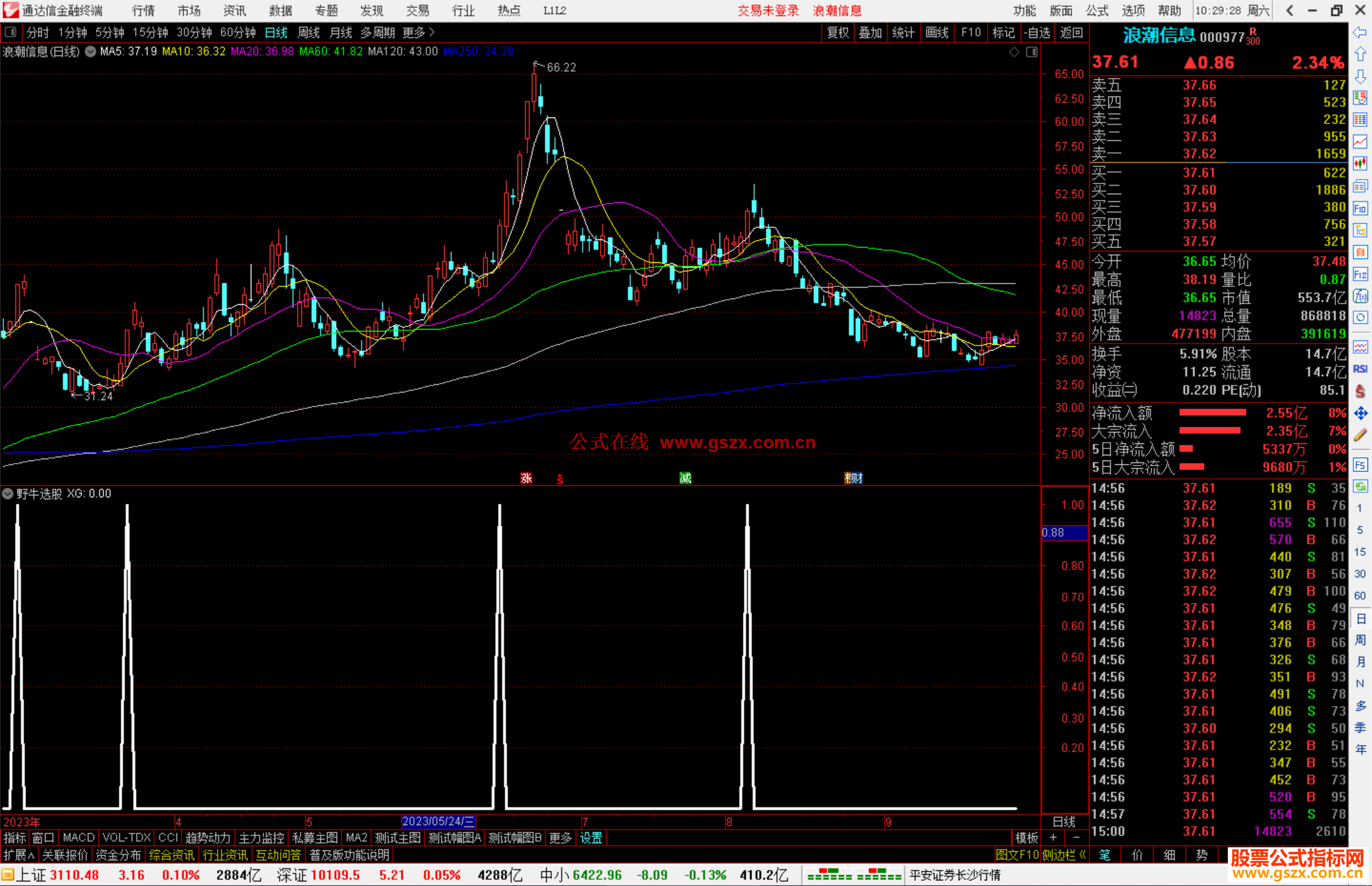 通达信野牛选股公式指标副图源码