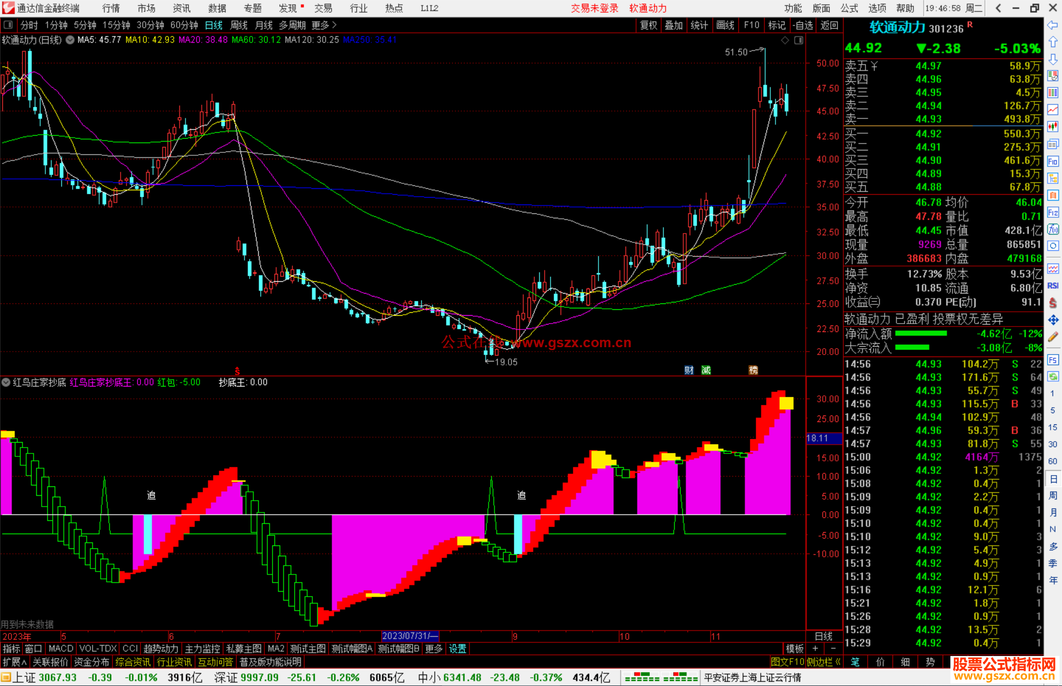 通达信红鸟庄家抄底王指标公式源码副图