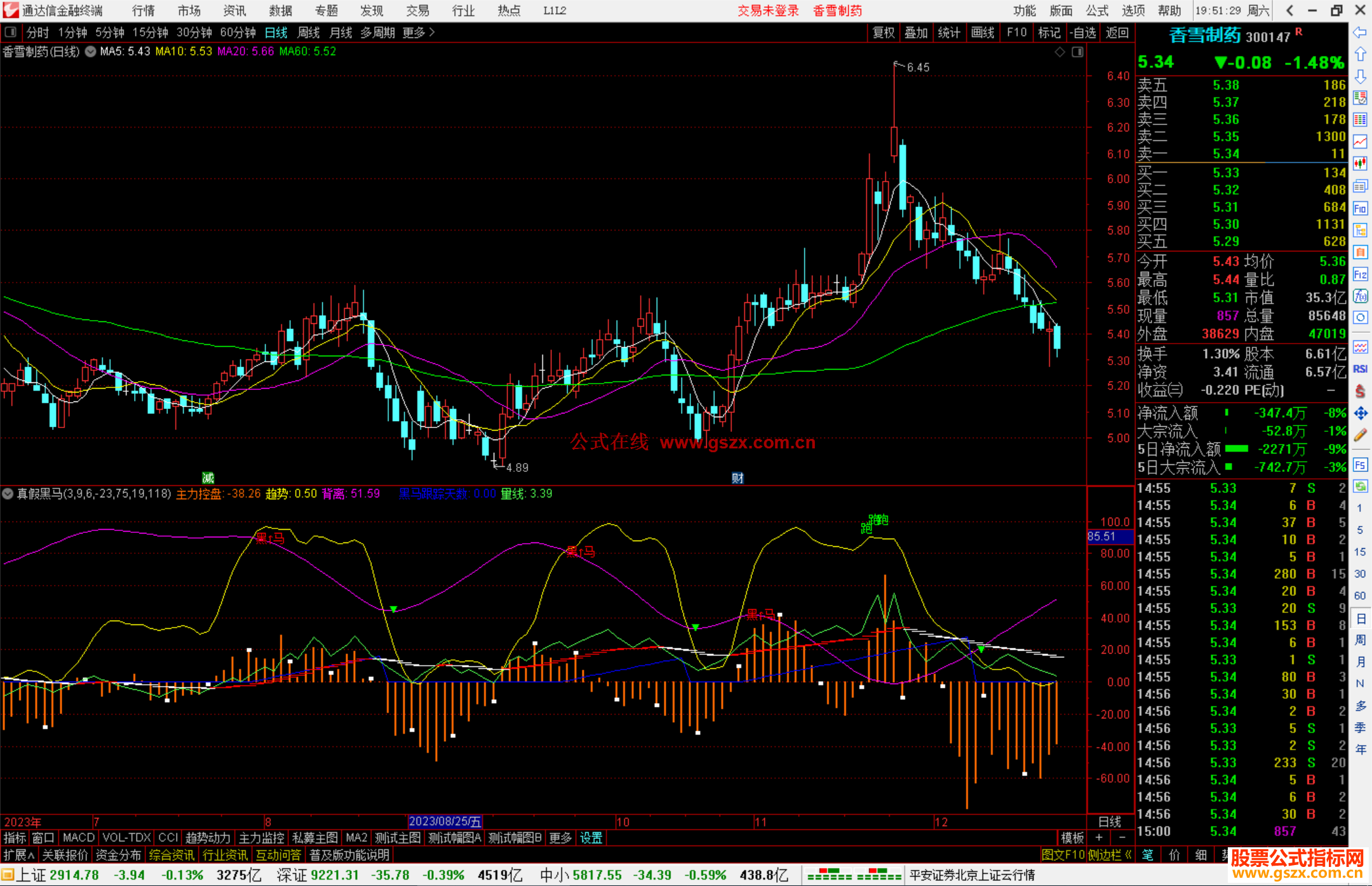 通达信真假黑马指标公式源副图